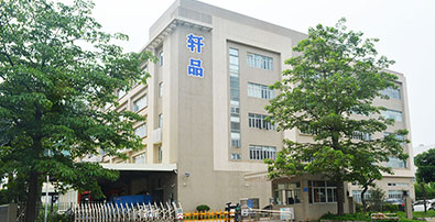 Dongguan Xuanpin Mould Technology Co., Ltd